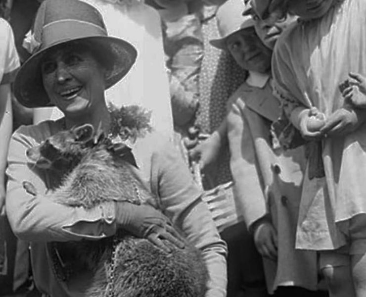 Rebecca, pet raccoon of Calvin Coolidge, was originally brought to the White House with the intention of being eaten at a Thanksgiving dinner. Was eating raccoons common among high society in 1920s America?