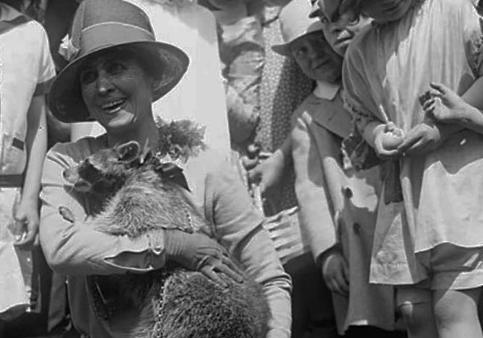 Rebecca, pet raccoon of Calvin Coolidge, was originally brought to the White House with the intention of being eaten at a Thanksgiving dinner. Was eating raccoons common among high society in 1920s America?